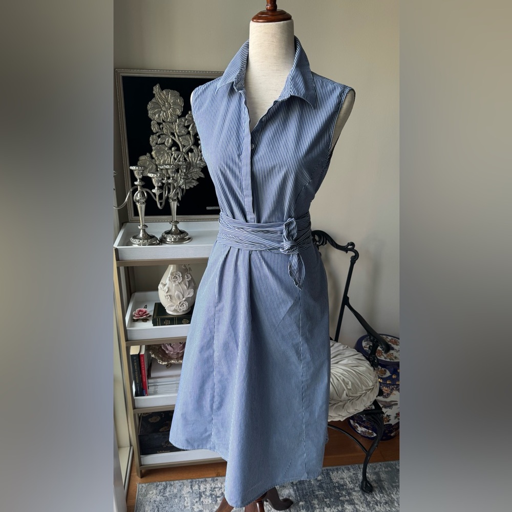 Banana Republic Blue Pinstripe Midi Dress